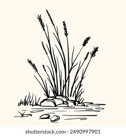 Lake shore, river. Reeds, stones in the water, swamp. Nature, landscape, duck hunting, fishing With illustration style doodle and line art