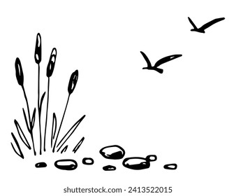 Lake shore, rivers, reeds, stones, seagulls in the sky. Nature and landscape, vegetation. Fishing, hunting. Simple hand drawn vector drawing with black outline, ink sketch.