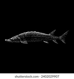 vector de dibujo de la mano del esturión del lago aislado en el fondo negro.