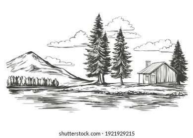 lake  summer landscape