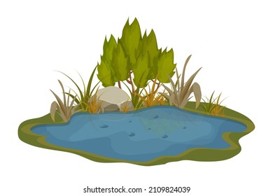 Lake, swamp with stones, bulrush lily leaves in cartoon style isolated on white background. Forest fantasy scene, wild nature.