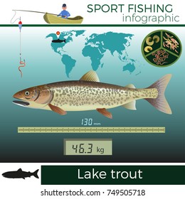 Lake trout infographic, sport fishing, vector illustration.