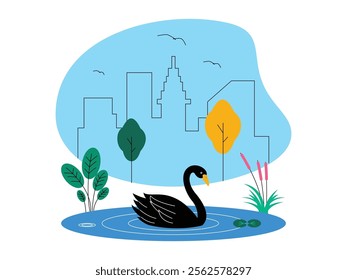 Lake view with black swans swimming, around the lake growing aquatic plants, bright blue sky background with some seagulls flying, ecosystem vector illustration.