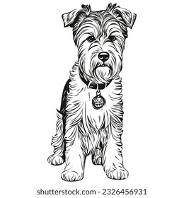 Lakeland Terrier dog realistic pencil drawing in vector, line art illustration of dog face black and white realistic breed pet