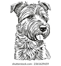 Lakeland Terrier dog vector graphics, hand drawn pencil animal line illustration realistic breed pet