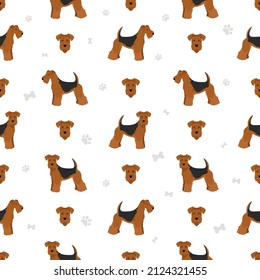 Lakeland terrier seamless pattern. Different poses, coat colors set.  Vector illustration