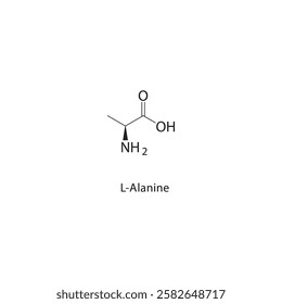 L-Alanine skeletal structure.Amino Acid compound schematic illustration. Simple diagram, chemical structure.