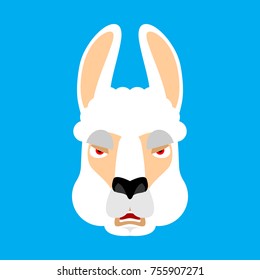 Lama Alpaca angry face avatar. Animal evil emoji. Vector illustration
