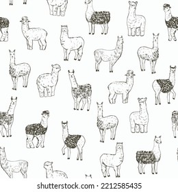 Lama alpaca animal vector seamless pattern.