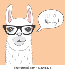 Lama Alpaca with color background. Hipster Animal Vector illustration. Hello monday card with call-out sign.