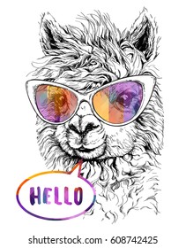 LAMA Alpaca in eyeglasses, Hipster style drawing, isolated on white. Object for advertisement, web page design, poster, banner, print element. vector illustration.