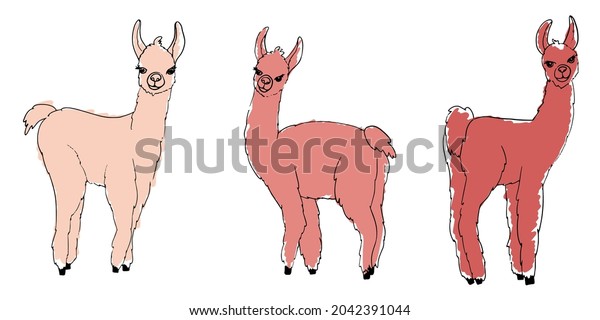 Lama, alpaca, guanaco\
and vicuna animals sketch vector set. Camelid mammals with pink\
wool, different shades.  Сute farm llama animals  silhouettes\
painted with markers