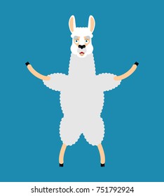 Lama Alpaca happy. Animal merryl emoji. Vector illustration
