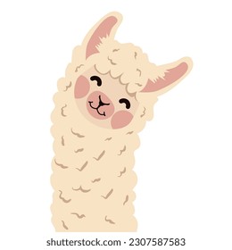 lama alpaca head with face cartoon