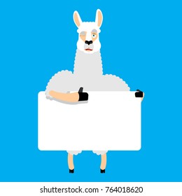 Lama Alpaca holding banner blank. Animal and white blank. Beast thumb up and winks joyful emotion. place for text. Vector illustration