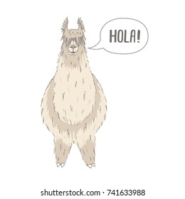 Lama Alpaca on white background. Animal Vector illustration. Hola (Hello) card with call-out sign.