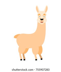 Lama Alpaca scared OMG. Animal Oh my God emoji. Frightened beast. Vector illustration
