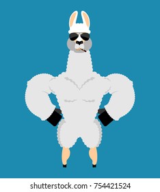 Lama Alpaca  Strong Cool serious. Animal smoking cigar emoji. Beast strict. Vector illustration