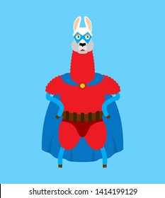 Lama Alpaca superhero. Super llama in mask and raincoat. Strong beast