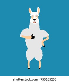 Lama Alpaca thumbs up and winks emoji. Animal happy emoji. Vector illustration
