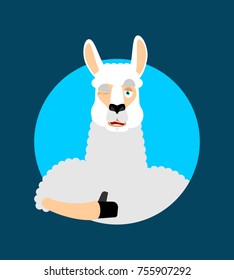 Lama Alpaca thumbs up and winks emoji. Animal happy emoji. Vector illustration