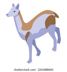 Lama animal icon isometric vector. Cute lama. Peru animal