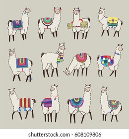 lama animal vector color set