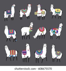 lama animal vector color set