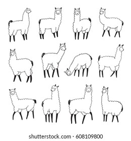lama animal vector line set