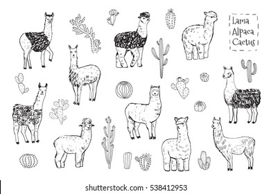 lama animal vector set