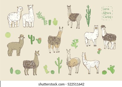 lama with cactus vector set