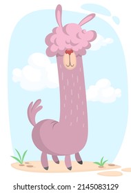 Lama cartoon alpaca. Lama animal vector isolated illustration.
