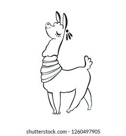 Lama cartoon alpaca. Llama animal vector isolated illustration. Design for card, sticker, fabric textile, t-shirt. Children, child of modern trendy style
