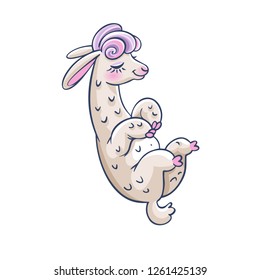 Lama cartoon alpaca. Llama animal vector isolated illustration. Design for card, sticker, fabric textile, t-shirt. Children, child of modern trendy style