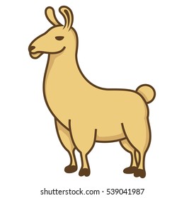 Lama cute Alpaca vector camelid