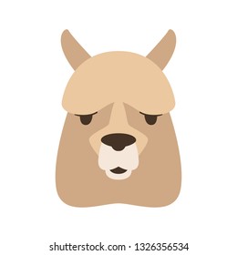 lama face,   vector illustration,  flat style, front side