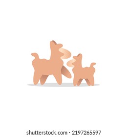 I lama Family Animal Illustration Creative Design 