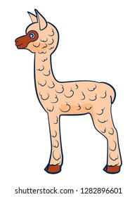 Lama. Figure stylized cartoon style. Isolated background. Vector
