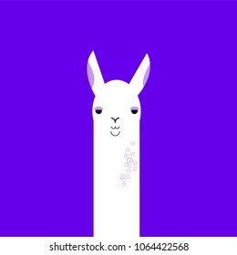 Lama head on a ulrta violet background. White curly llama. Humanized animal. Cartoon character.