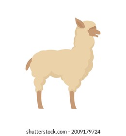 Lama icon. Flat illustration of Lama vector icon isolated on white background