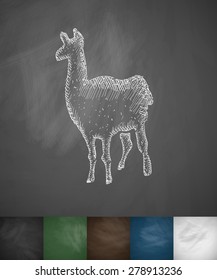 lama icon. Hand drawn vector illustration. Chalkboard Design