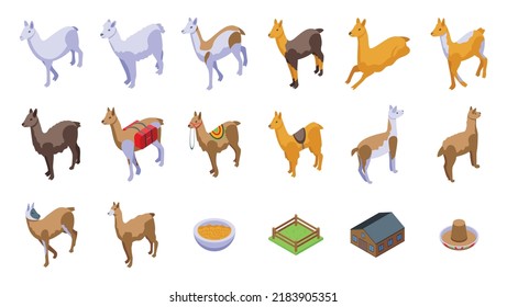 Los iconos de ama establecen un vector isométrico. Alpaca animal. Foto de Bolivia