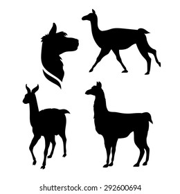 Lama icons and silhouettes. Set of illustrations in different poses.