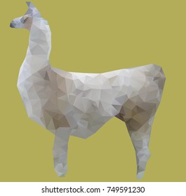 Lama of light color, polygonal pattern