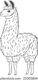 Lama line art , lama drawing