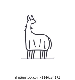 Lama line icon concept. Lama vector linear illustration, symbol, sign