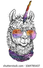 LAMA / llamacorn in eyeglasses, Hipster style drawing, isolated on white. Object for advertisement, web page design, poster, banner, print element. vector illustration.