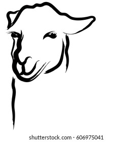 Lama logo. A simple sign. White background