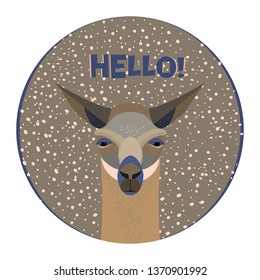 Lama logo template. Background for zoo, tourism, souvenir, invitation card, advertising. Stylized animal character of South America. Lama, vicuna, alpaca, guanaco. The inscription HELLO. Vector