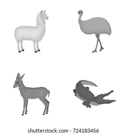 lama, ostrich emu, young antelope, animal crocodile. Wild animal, bird, reptile set collection icons in monochrome style vector symbol stock illustration web.